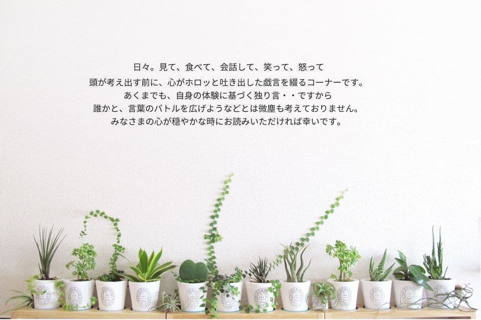 ブログ